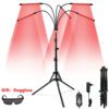 5 Lamps Set