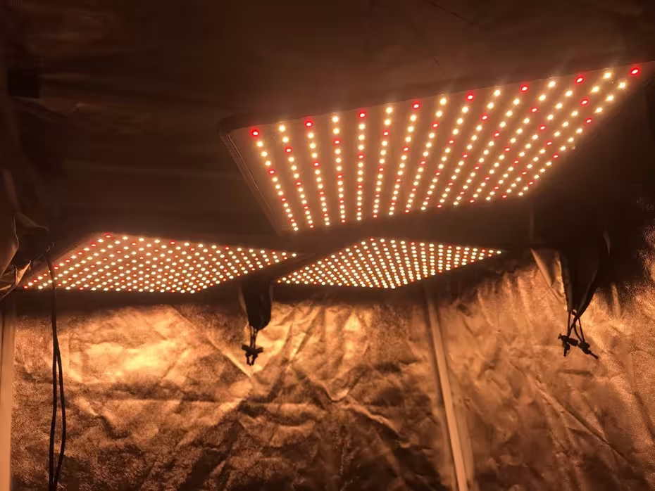 Lampe de croissance à LED 1000W