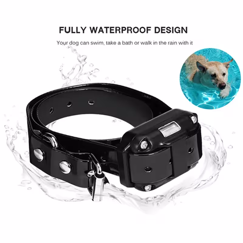 collare per addestramento cani