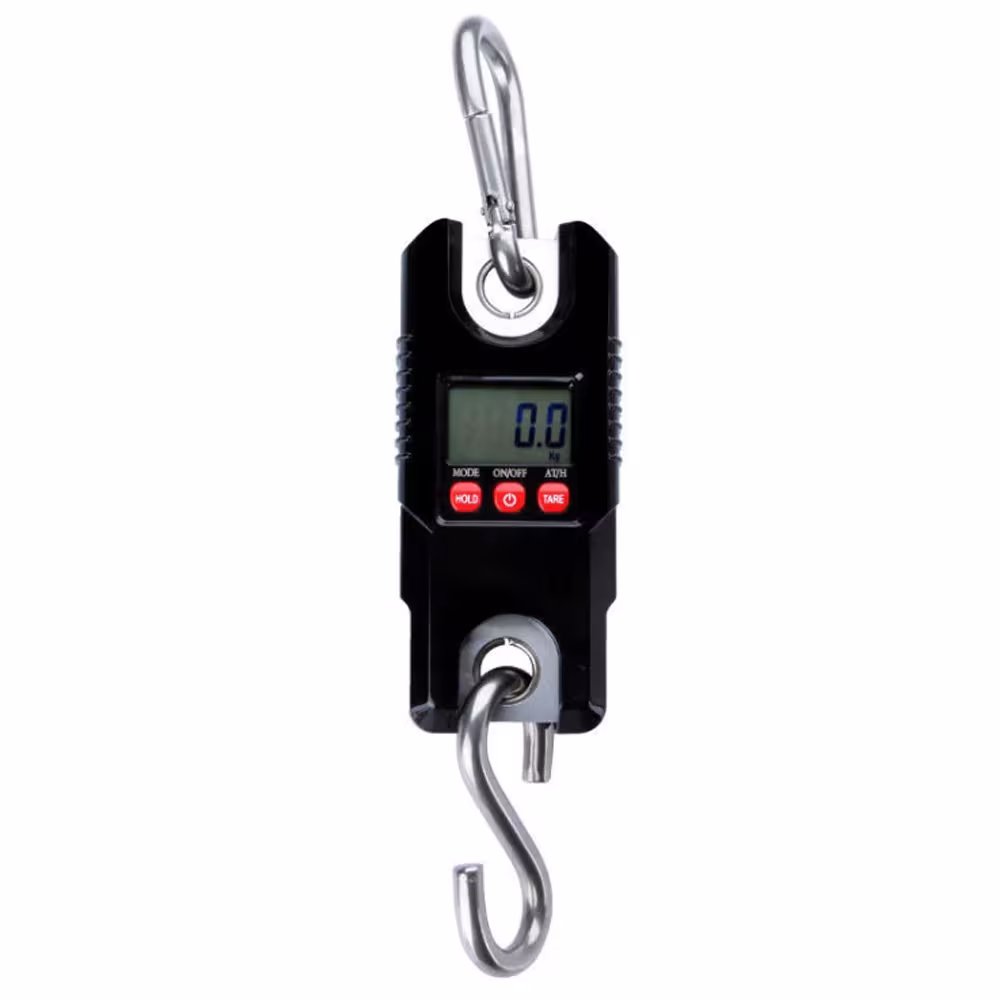 portable crane scale