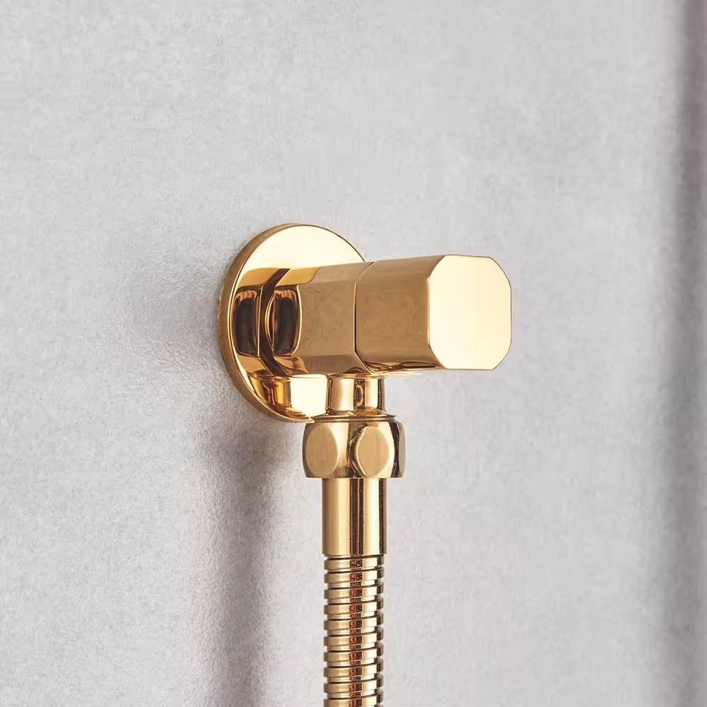 bidet čiaušas sienoje