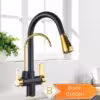 black-and-golden-b