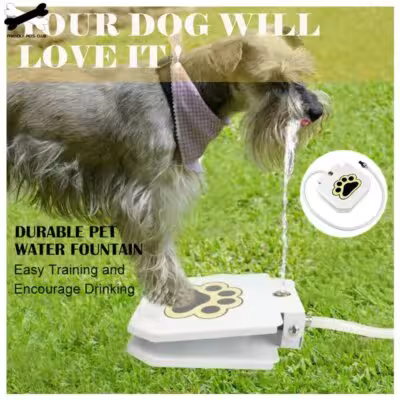 Automatic dog water fountain with foot activator for outdoor games without electricity