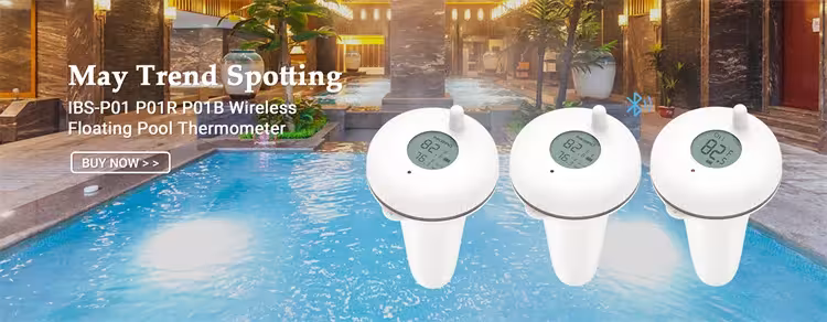 termómetro inalámbrico para piscina