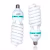2 pieces bulb