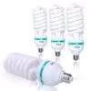 4 pieces bulb