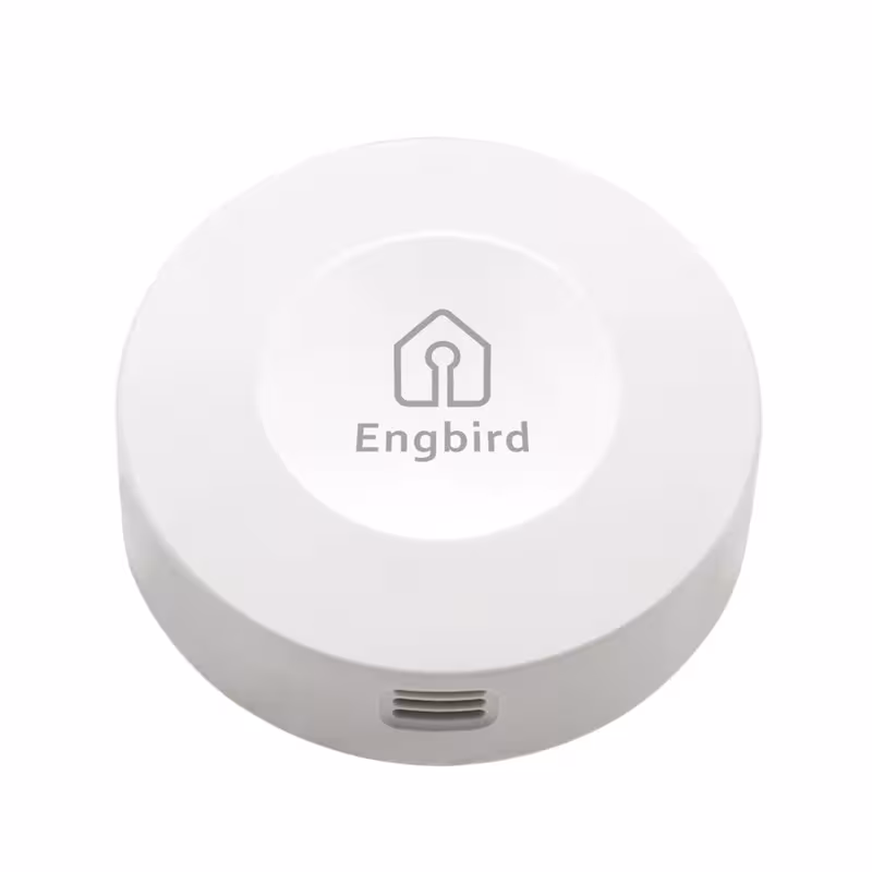Bluetooth-Temperatursensor