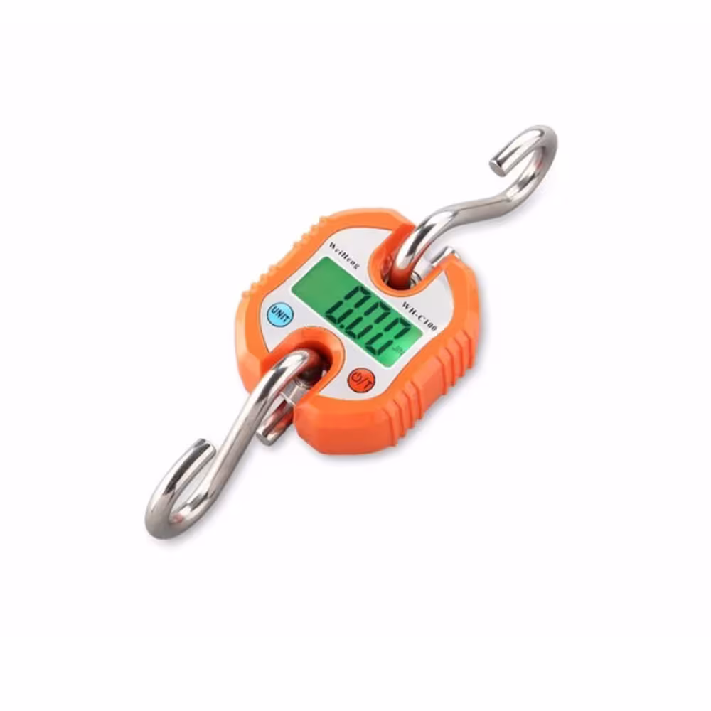 portable crane scale
