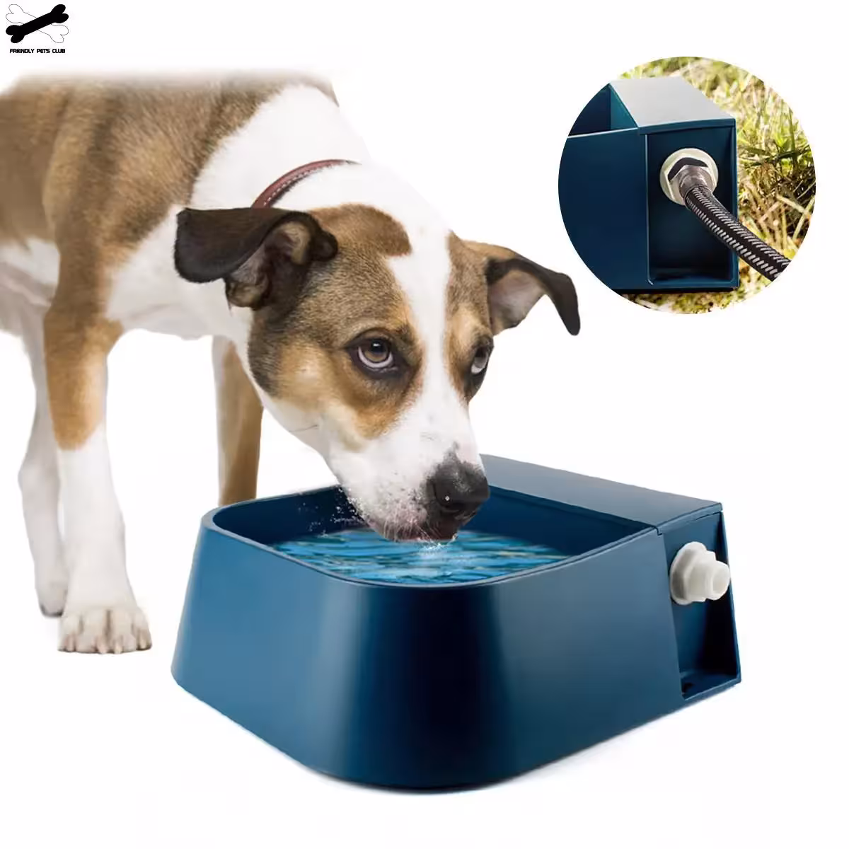 fuente de agua del perro