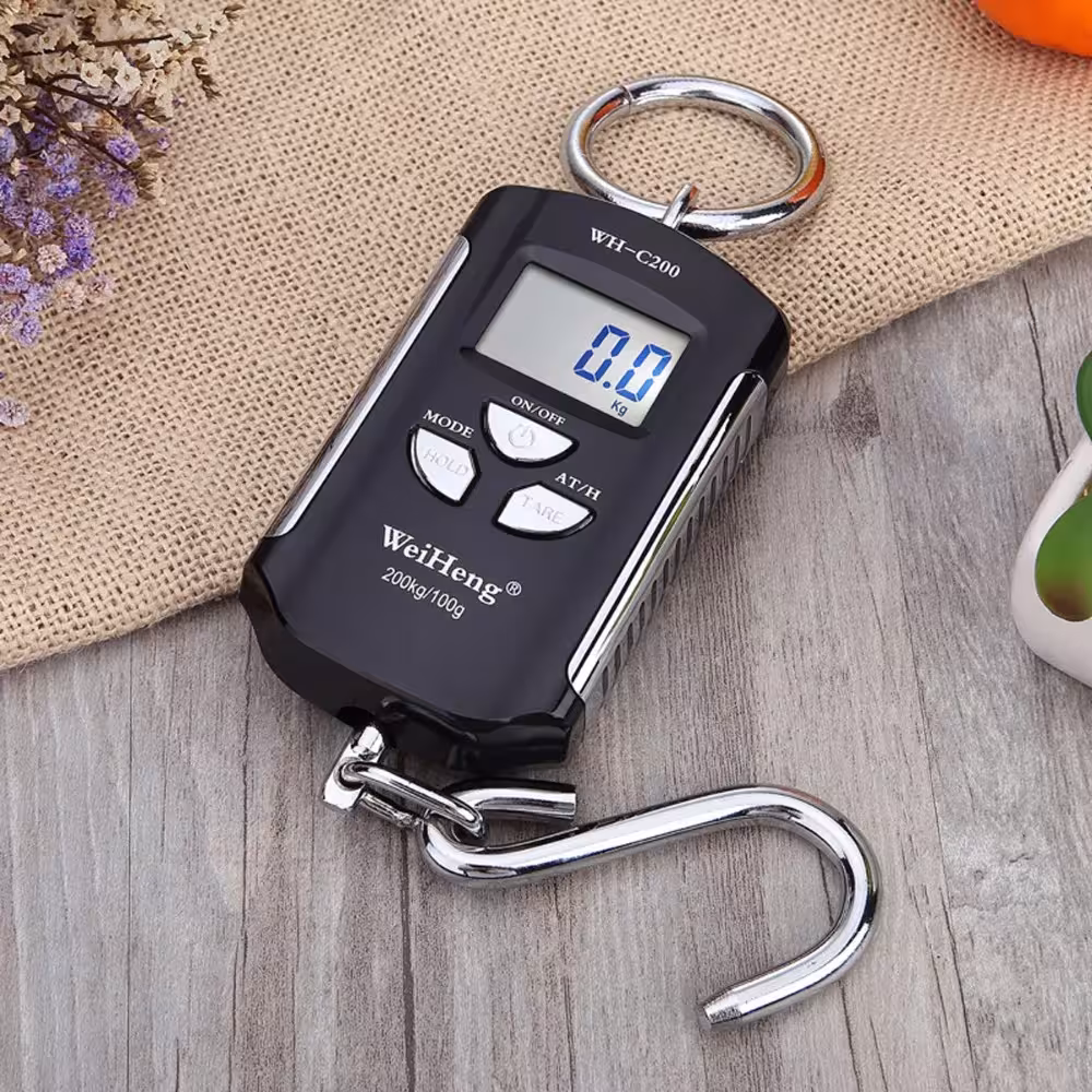 portable crane scale