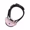 pour-petits-chiens-pi