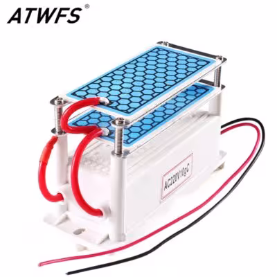 ATWFS Generatore di ozono 220V / 110V 10g aria ceramica e detergente acqua