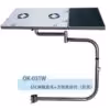 ok-031w