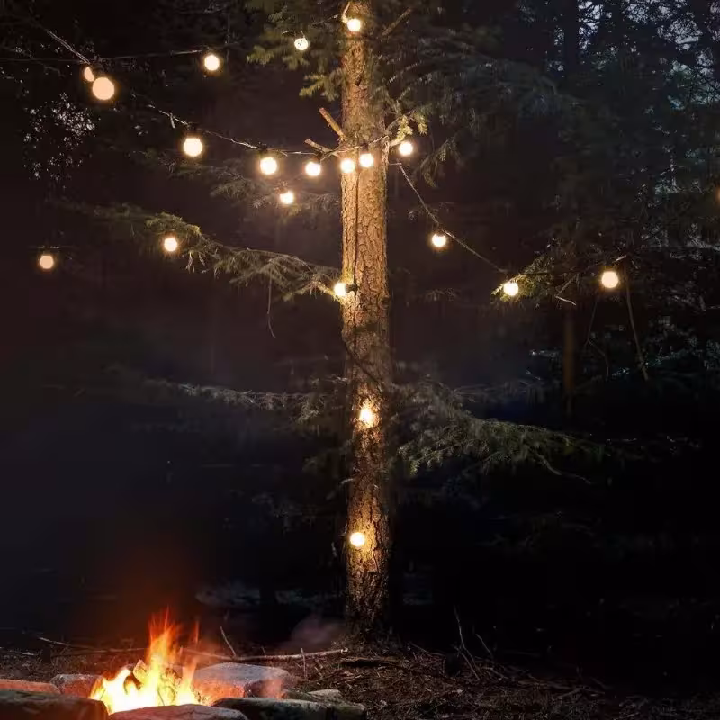 Ghirlanda di luci LED da esterno