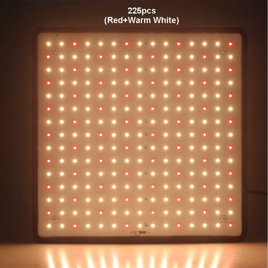 Lampe de croissance à LED 1000W