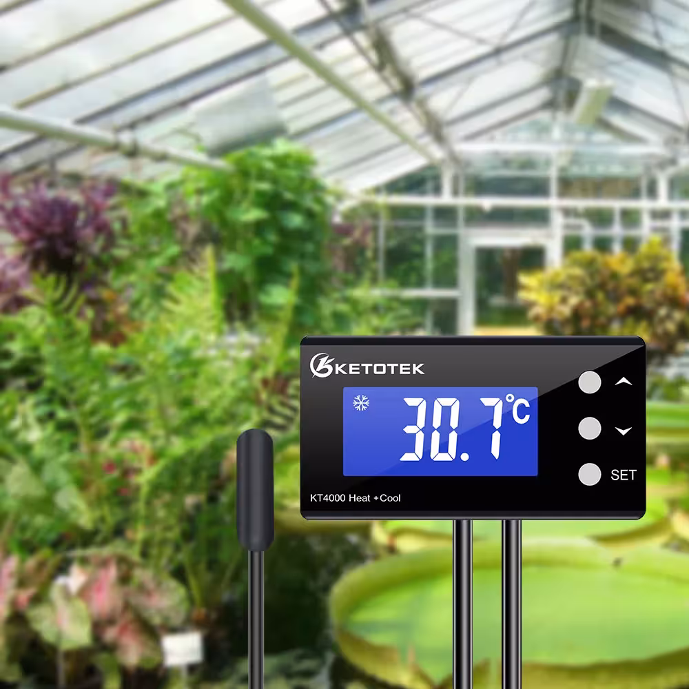 skaitmeninis termostatas temperatūros valdiklis