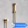 polished-gold