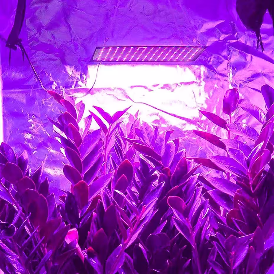 Lampe de croissance à LED 1000W