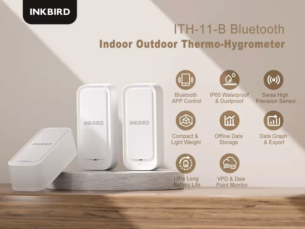 Bluetooth thermometer