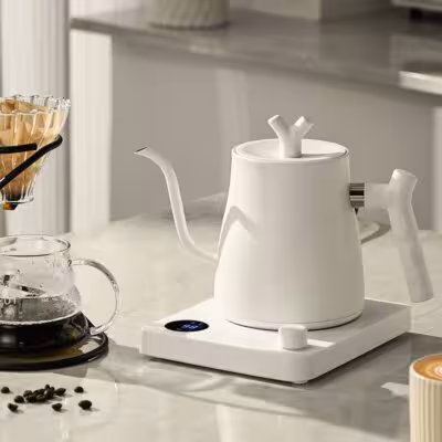 Elektrinis vandeninis virdulys su temperatūros kontrole 1000 ml