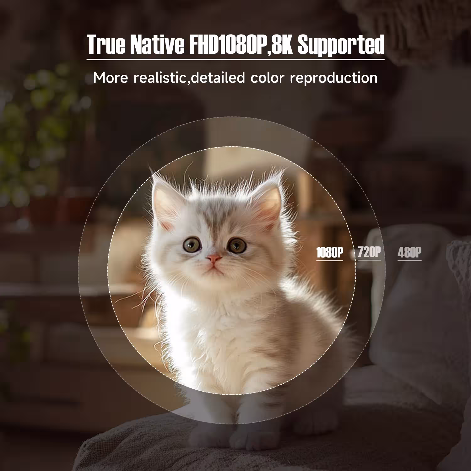 portable projector 1080P