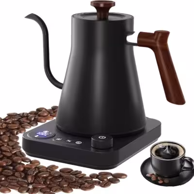 Bouilloire électrique avec régulation de température 900ml