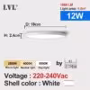 blanc-coque-12w