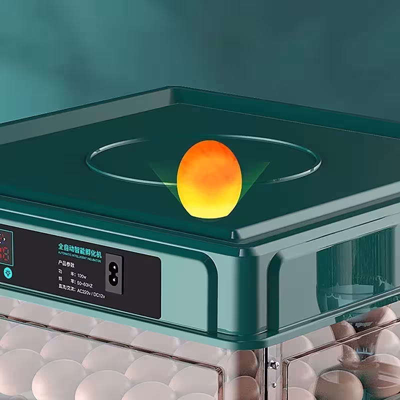 incubadora automática de huevos de gallina