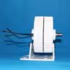 with-base