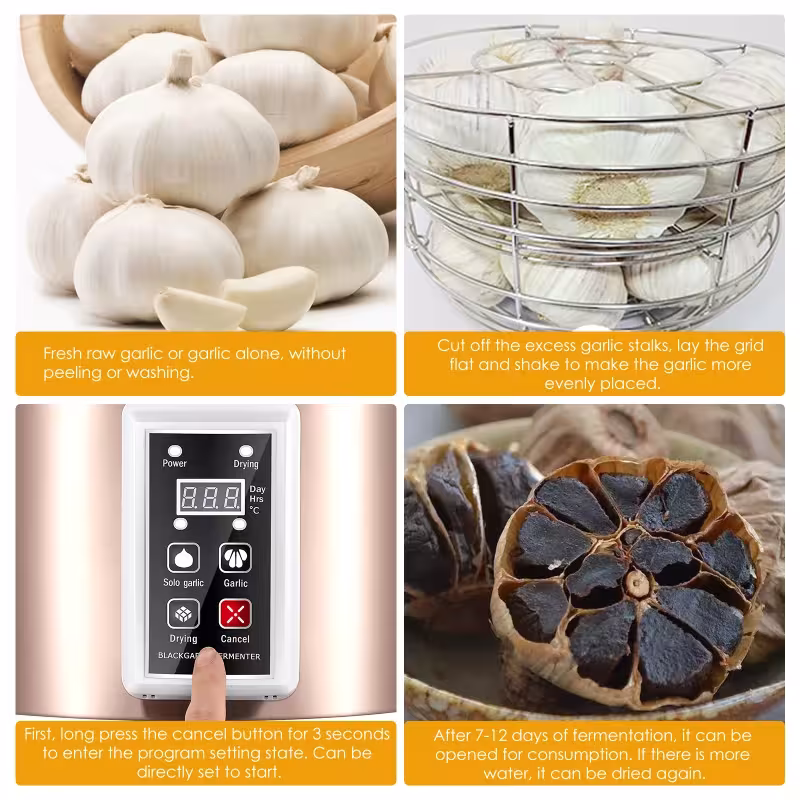 black garlic fermenter automatic