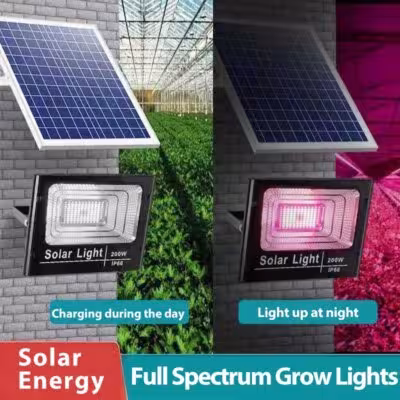 Solar LED lamp for plants
