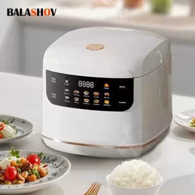 Compact electric rice cooker 110V 220V with steam function 2L