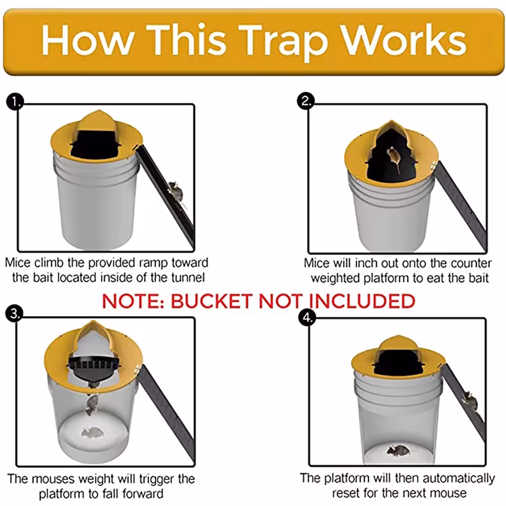automatic mouse trap