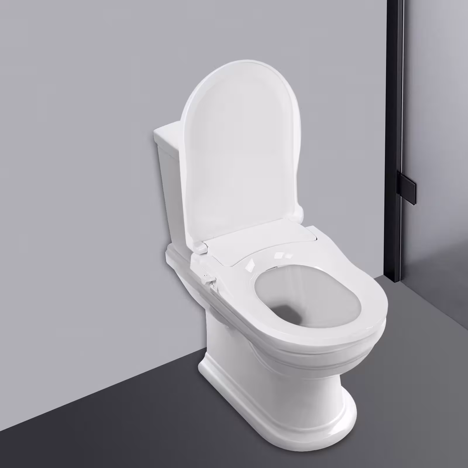 bidet tualeto sėdynė
