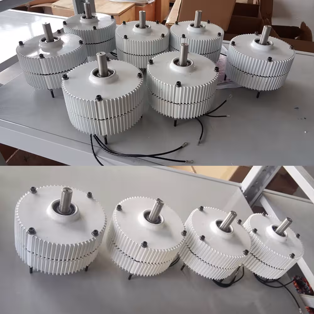 vėjo turbina generatorius 1000W