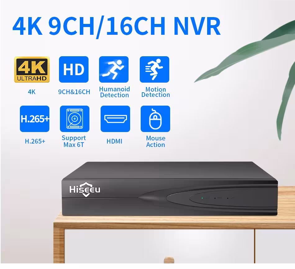 IP CCTV saugos kamera NVR