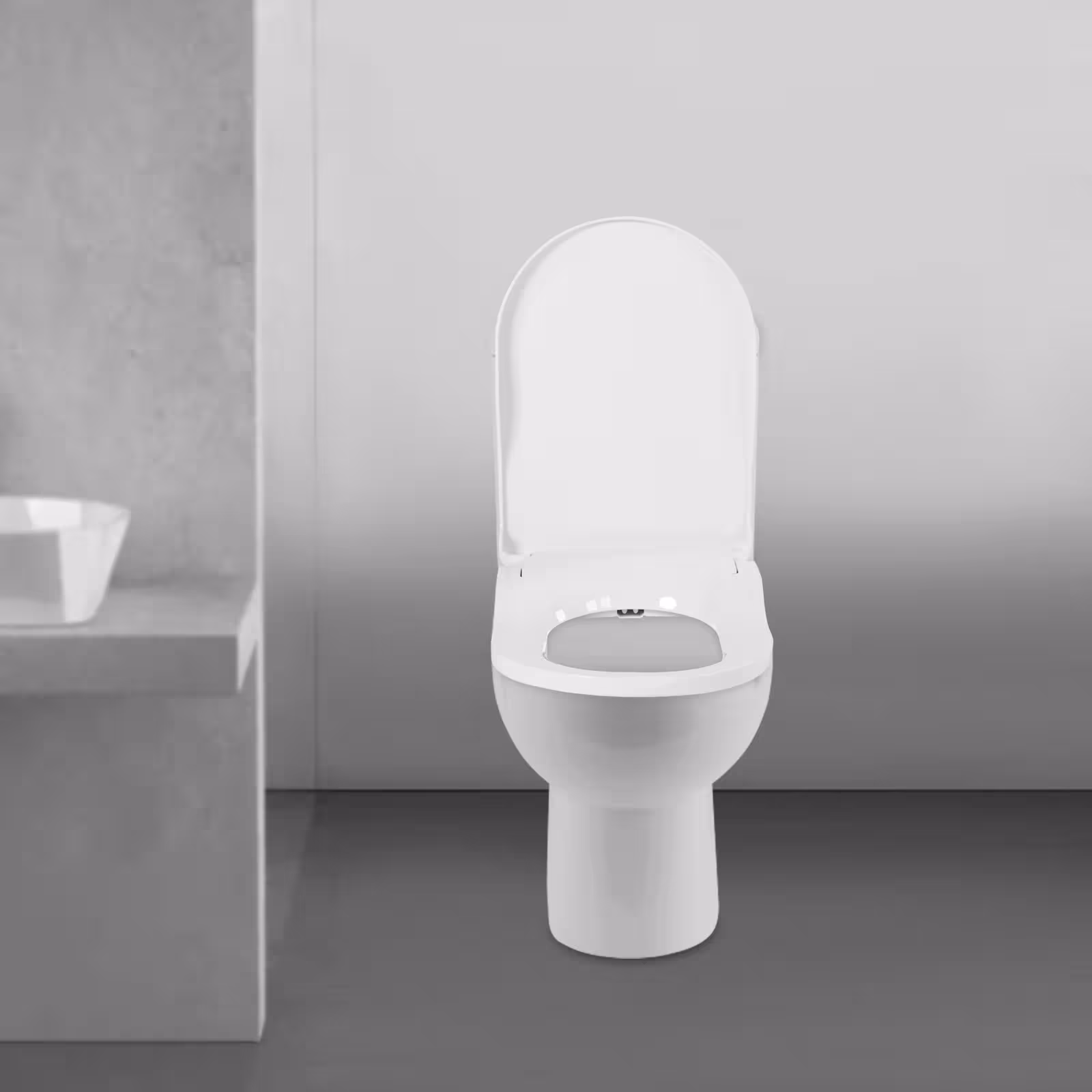 bidet tualeto sėdynė