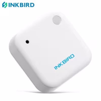 Termometri INKBIRD IBS-TH2 resistenti al freddo con Bluetooth e app