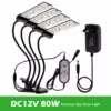 modèle 1-RW, clip, 80W