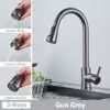 gun- grey