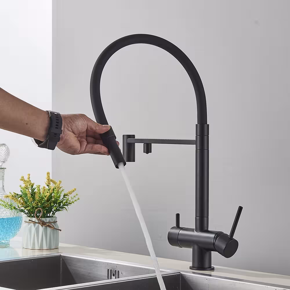 kitchen faucet with filter