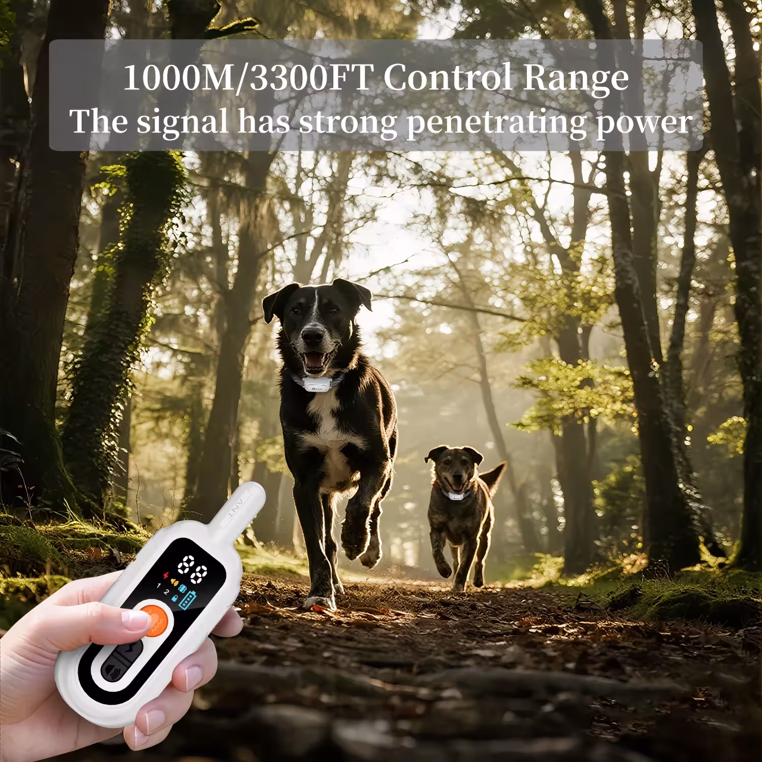 collare elettronico per cani
