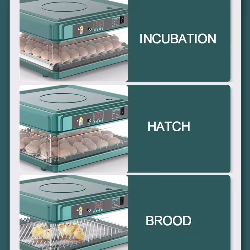 incubadora automática de huevos de gallina