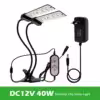 modèle 1-RW, clip, 40W