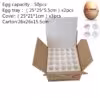 35-40mm-egg-50-holes