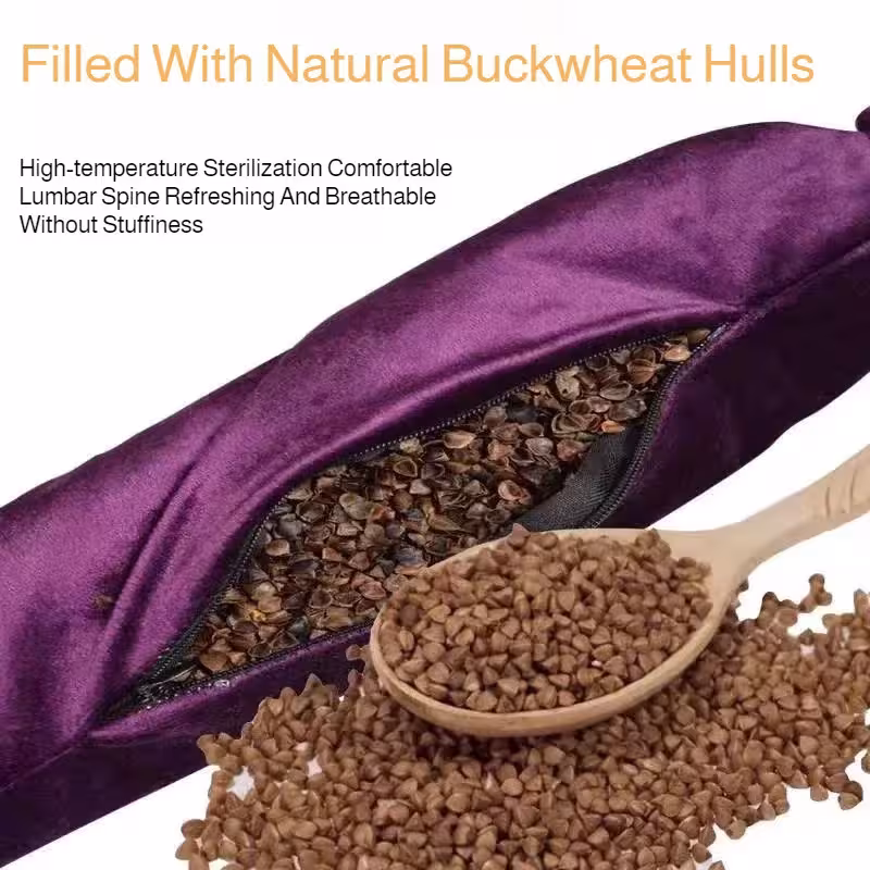 back traction belt