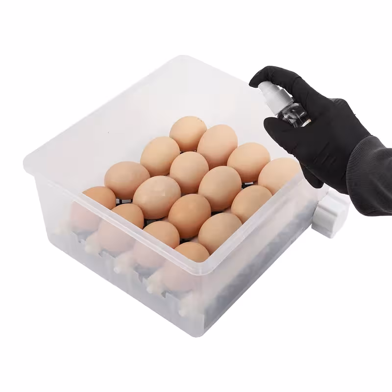 automatinis kiaušinių inkubatorius