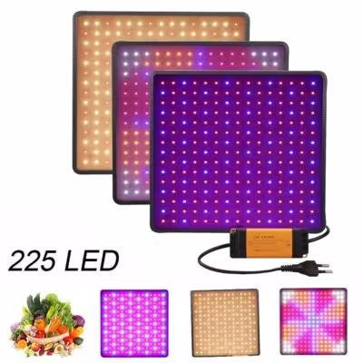 Lampe de croissance de plantes LED 1000W pleine lumière de phytospectrale dans la serre