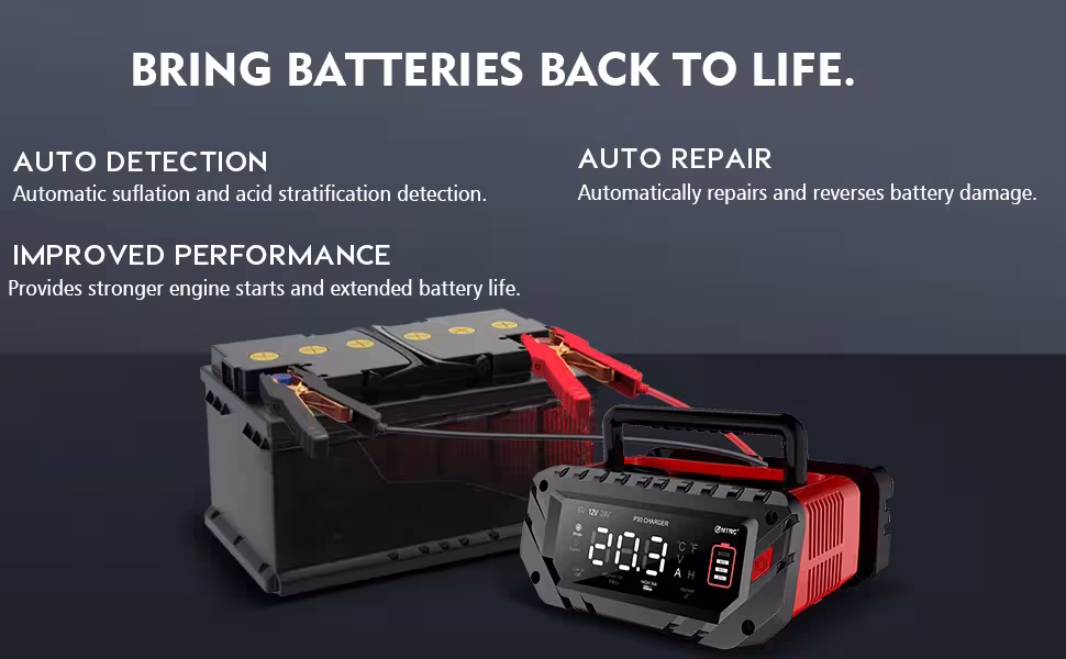 Motorcycle battery charger