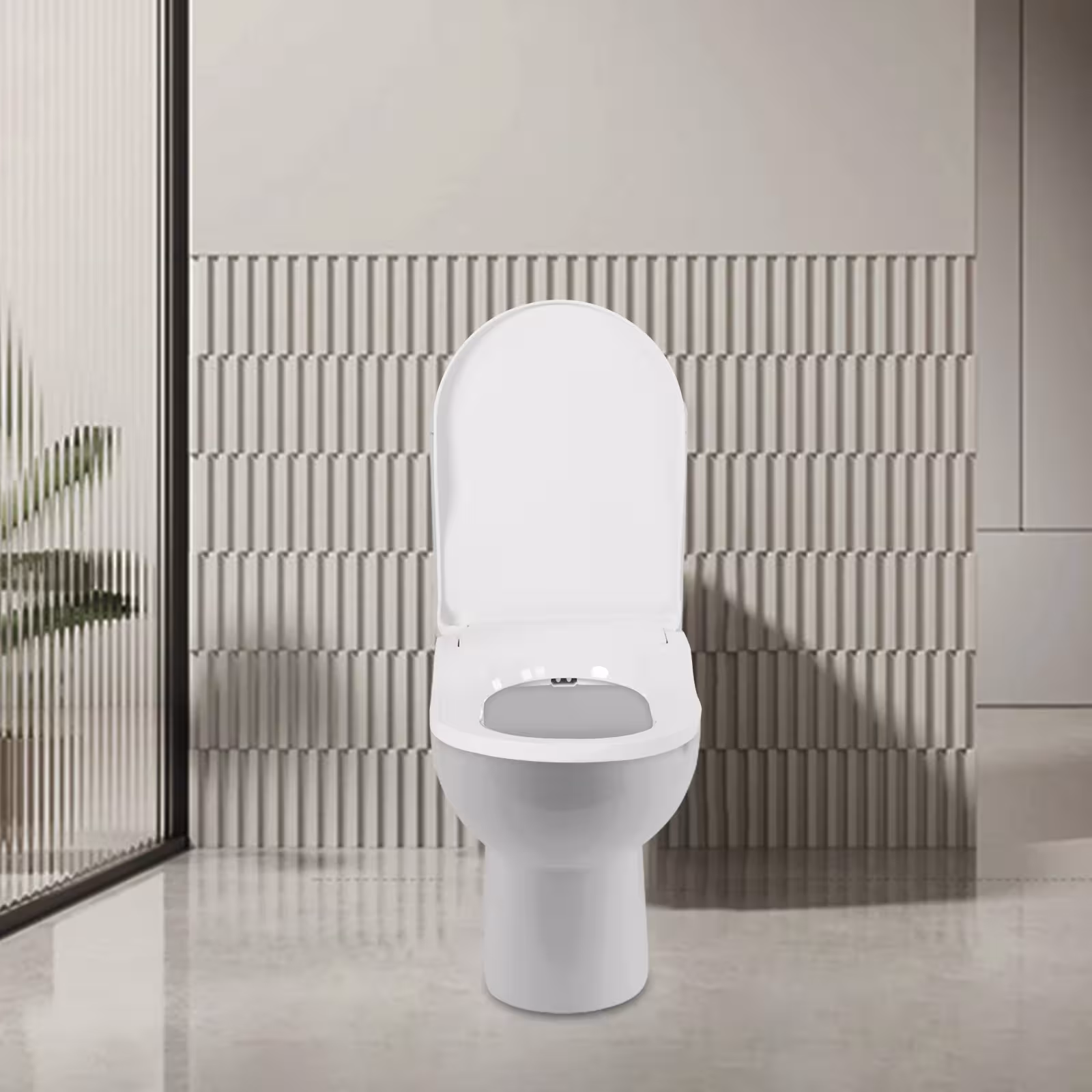 bidet tualeto sėdynė